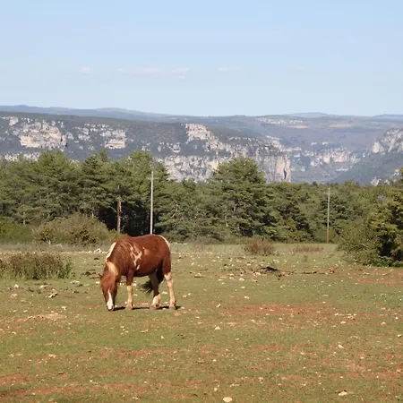 La Maison Du Berger Holiday home La Cresse