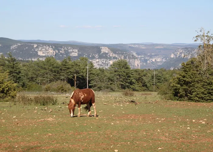 La Maison Du Berger Holiday home La Cresse